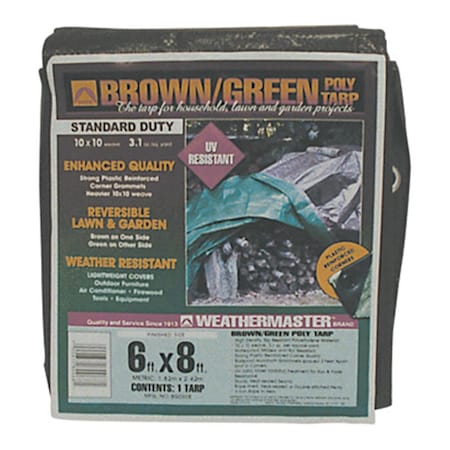 Dize 6 ft x 8 ft Tarp, Brown/Green DI379777